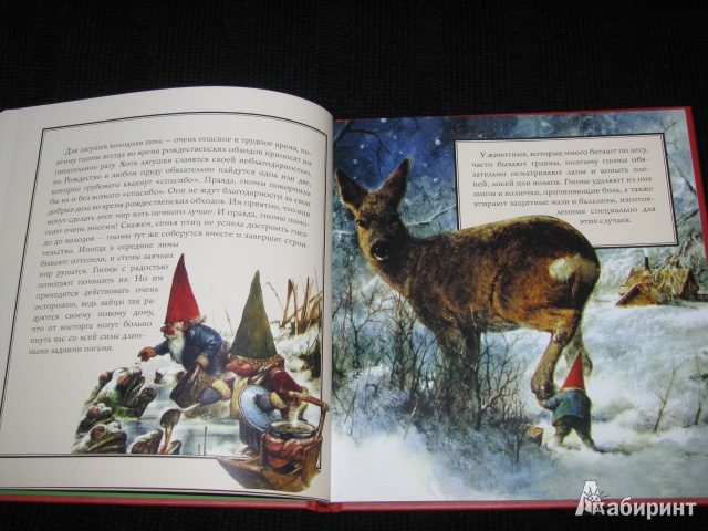 Иллюстрация 30 из 64 для Рождество гномов | Лабиринт - книги. Источник: Nemertona