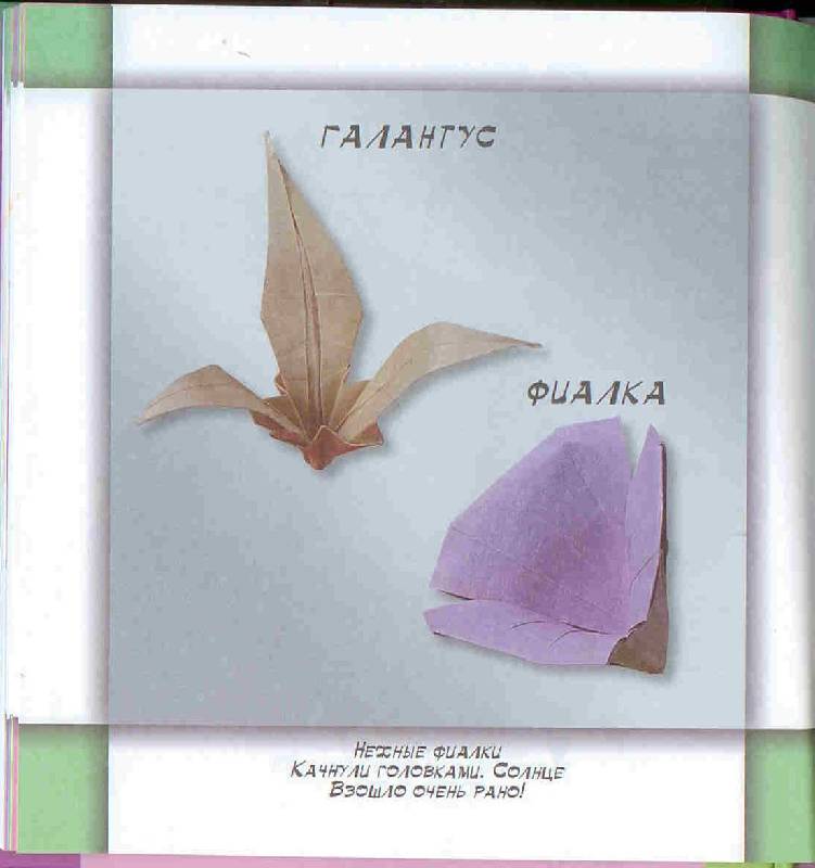 Иллюстрация 7 из 18 для Оригами. Цветы - Ирина Богатова | Лабиринт - игрушки. Источник: Тярионнакуби