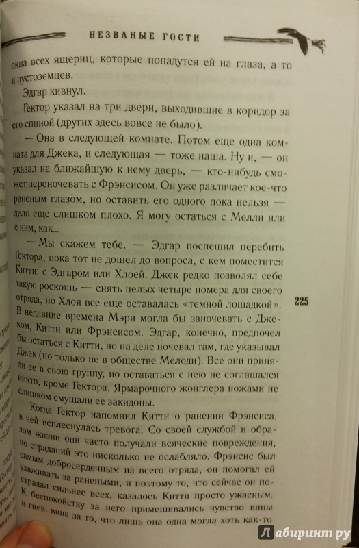 Иллюстрация 10 из 23 для Незваные гости - Мелисса Марр | Лабиринт - книги. Источник: Химок