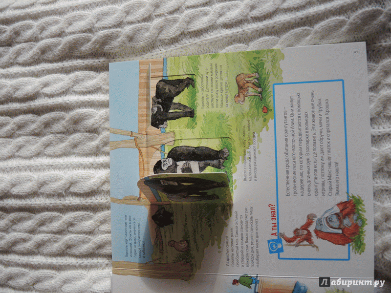 Иллюстрация 4 из 40 для Животные в зоопарке - Забине Шук | Лабиринт - книги. Источник: Качелкина Ксения Валерьевна