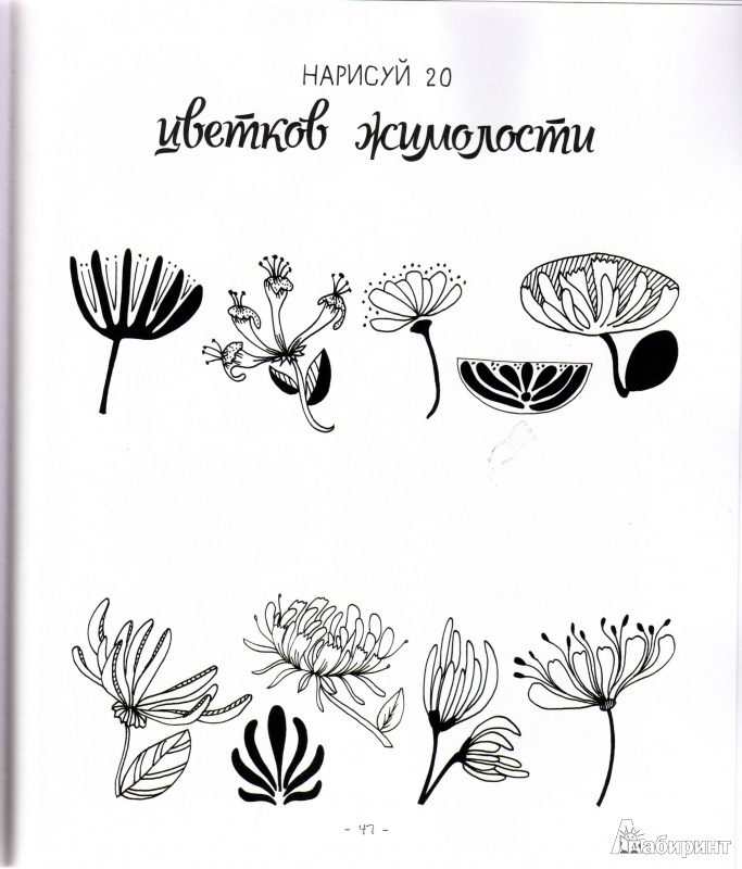 Иллюстрация 34 из 38 для 20 способов нарисовать тюльпан и 44 других прекрасных цветка - Лиза Конгдон | Лабиринт - книги. Источник: Трубадур