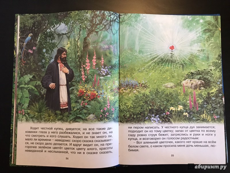 Иллюстрация 29 из 36 для Аленький цветочек - Сергей Аксаков | Лабиринт - книги. Источник: Женина  Юлия