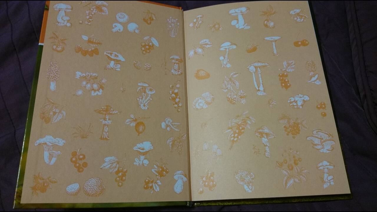 Иллюстрация 31 из 59 для Ягоды и грибы - Петр Волцит | Лабиринт - книги. Источник: anka46