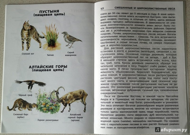 Иллюстрация 31 из 32 для Природные зоны России | Лабиринт - книги. Источник: Elena_Nsk