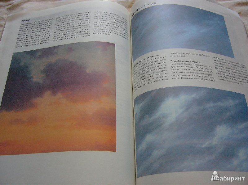 Иллюстрация 13 из 23 для Рисунок акриловыми красками - Вики Лорд | Лабиринт - книги. Источник: Nika
