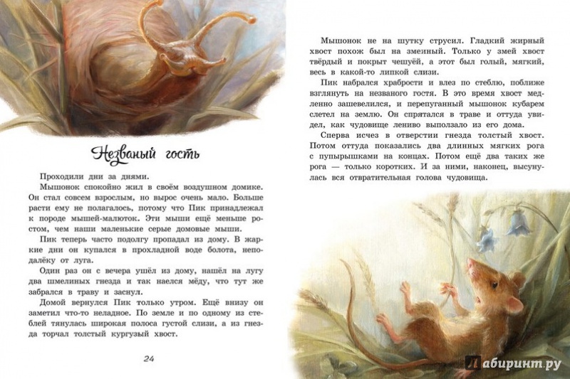 Иллюстрация 4 из 19 для Мышонок Пик - Виталий Бианки | Лабиринт - книги. Источник: Richanka