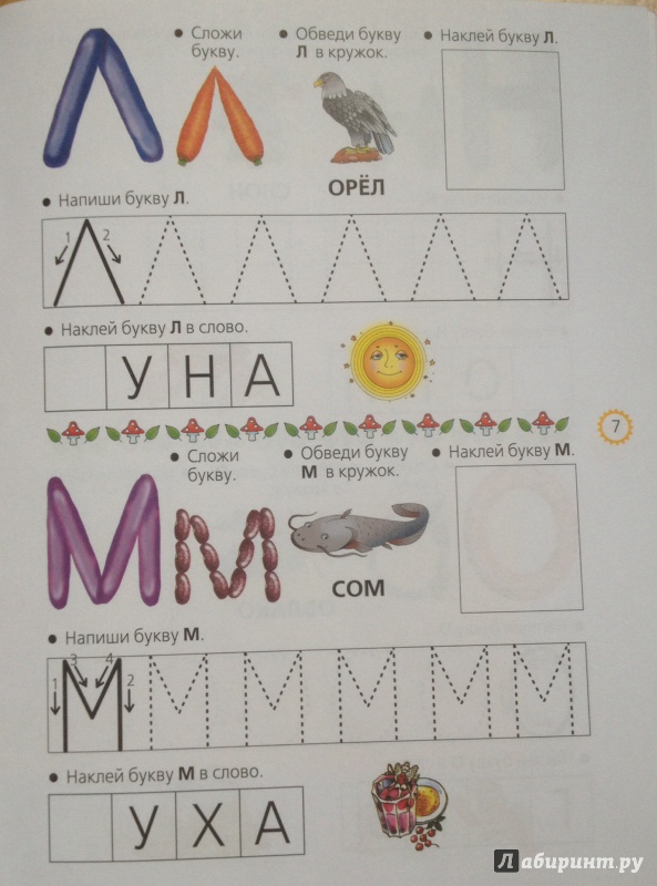 Иллюстрация 8 из 18 для Учим буквы - Олеся Жукова | Лабиринт - книги. Источник: Евгения Махина