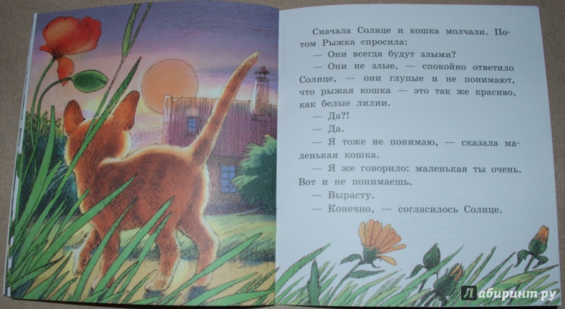 Иллюстрация 14 из 16 для Рыжая сказка - Наталья Абрамцева | Лабиринт - книги. Источник: Книжный кот