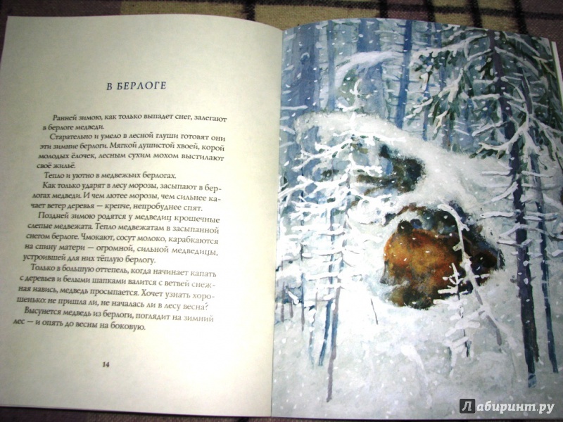 Иллюстрация 32 из 64 для Зима в лесу - Иван Соколов-Микитов | Лабиринт - книги. Источник: Бог в помощь