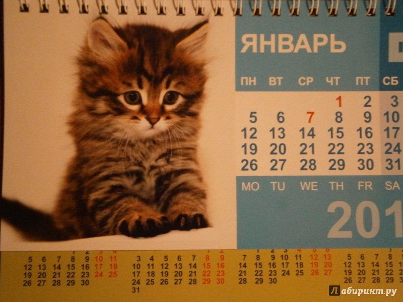 Иллюстрация 2 из 13 для Календарь-домик 2015 "Котята" | Лабиринт - сувениры. Источник: D8  _