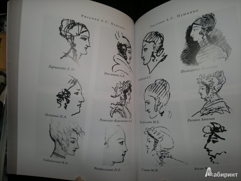 Иллюстрация 6 из 19 для Пушкин и 113 женщин поэта. Все любовные связи великого повесы | Лабиринт - книги. Источник: Книголюбительница