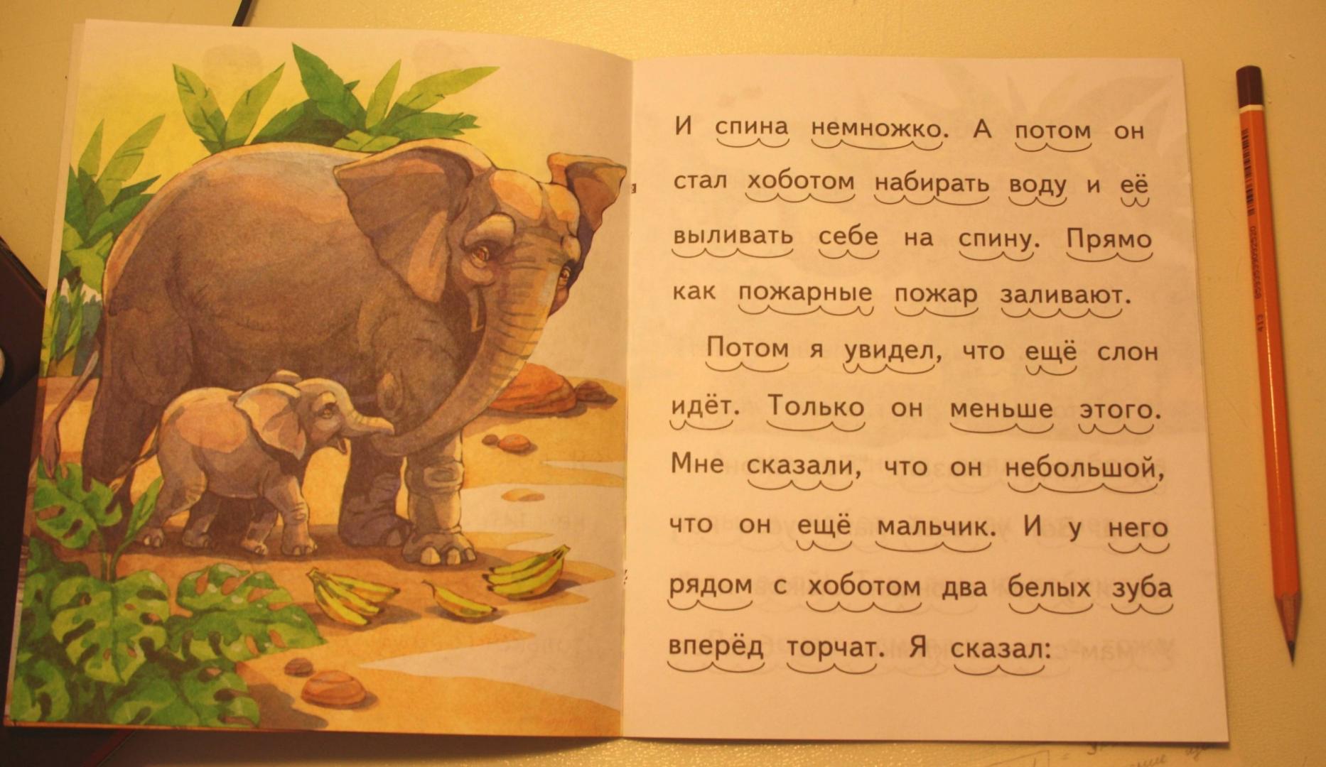 Иллюстрация 5 из 15 для Какие слоны умные - Борис Житков | Лабиринт - книги. Источник: Кончиц  Анна Евгеньевна