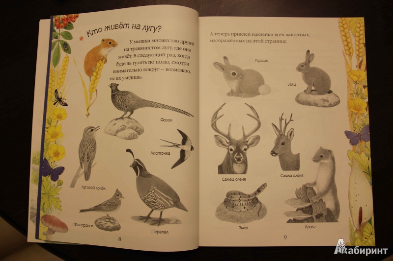Иллюстрация 13 из 32 для Чудо-наклейки. Мир природы | Лабиринт - книги. Источник: Vilvarin  Laurea