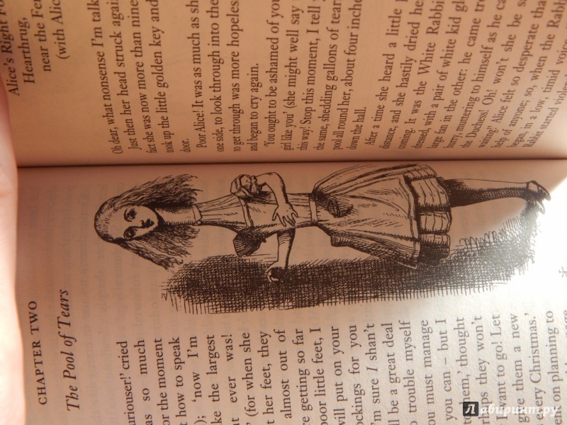Иллюстрация 13 из 31 для Alice in Wonderland & Through the Looking-Glass - Lewis Carroll | Лабиринт - книги. Источник: komer45