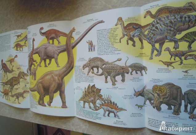 Иллюстрация 21 из 21 для Динозавры - Джон Веско | Лабиринт - книги. Источник: Iwolga