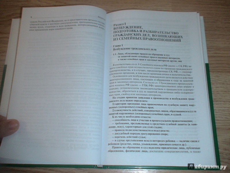 Иллюстрация 3 из 10 для Настольная книга судьи по семейным делам. Учебно-практическое пособие - Егорова, Беспалов | Лабиринт - книги. Источник: prema81
