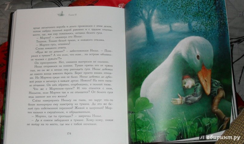 Иллюстрация 6 из 24 для Чудесное путешествие Нильса с дикими гусями - Сельма Лагерлеф | Лабиринт - книги. Источник: Мелихова  Вера