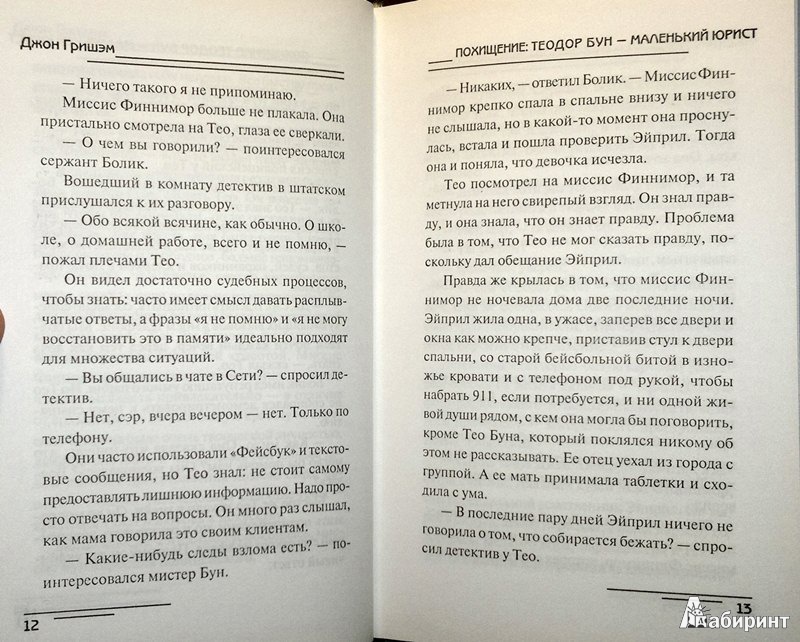 Иллюстрация 7 из 7 для Похищение. Теодор Бун - маленький юрист - Джон Гришэм | Лабиринт - книги. Источник: Леонид Сергеев