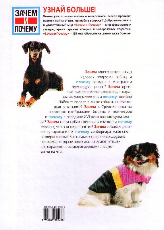 Иллюстрация 7 из 19 для Собаки - Петер Тайхманн | Лабиринт - книги. Источник: In@