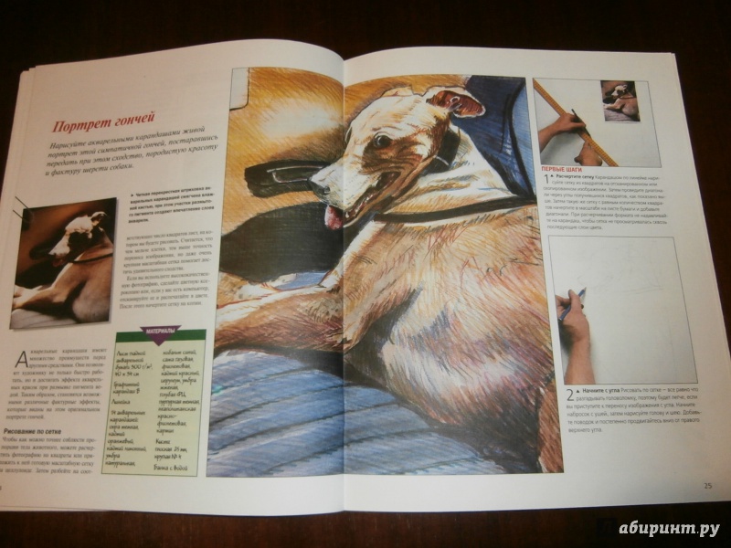 Иллюстрация 8 из 15 для Рисуем собак. Шаг за шагом | Лабиринт - книги. Источник: Tiger.