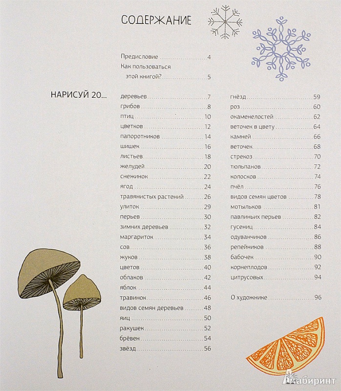 Иллюстрация 2 из 42 для 20 способов нарисовать дерево и другие 44 чуда природы - Элоиз Ренуф | Лабиринт - книги. Источник: mangust