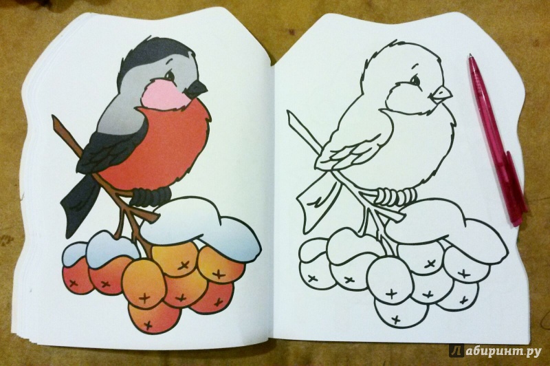 Иллюстрация 22 из 32 для Новогодняя раскраска. Белка | Лабиринт - книги. Источник: Уразаева Лилия