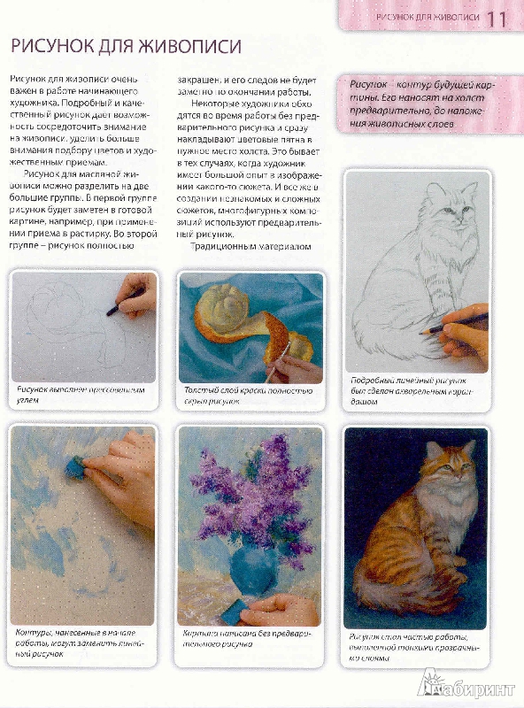 Иллюстрация 9 из 21 для Самоучитель современной масляной живописи - Ольга Шматова | Лабиринт - книги. Источник: Милада