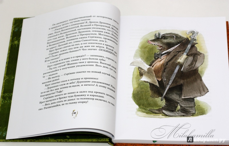 Иллюстрация 73 из 224 для Серёжик - Елена Ракитина | Лабиринт - книги. Источник: Букландия