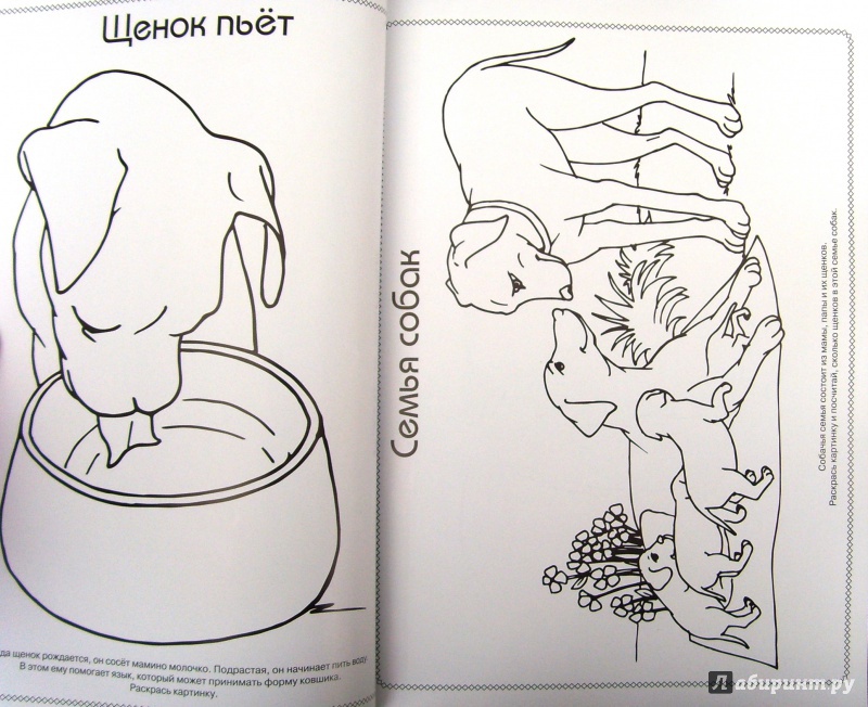 Иллюстрация 6 из 11 для Щенята - Анна Торманова | Лабиринт - книги. Источник: Соловьев  Владимир