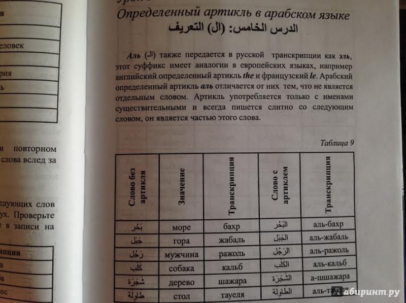 Иллюстрация 14 из 19 для Полный самоучитель арабского языка (+CD) - Кандалфт, Ковалева | Лабиринт - книги. Источник: Sage Tea