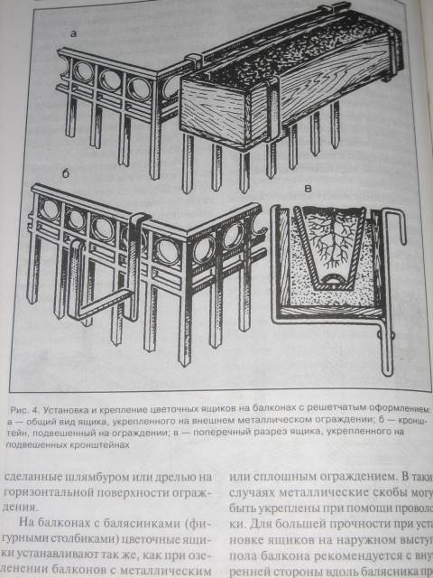 Иллюстрация 12 из 15 для Озеленение балконов и лоджий - Майя Александрова | Лабиринт - книги. Источник: МЕГ