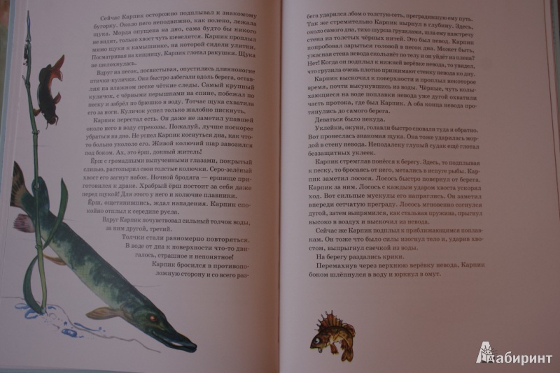 Иллюстрация 57 из 65 для Приключения Карпика - Андрей Клыков | Лабиринт - книги. Источник: Алонсо Кихано