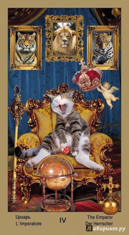 Иллюстрация 13 из 25 для Таро Катавасия, или Таро кота Василия - Владимир Странников | Лабиринт - книги. Источник: Olla-la