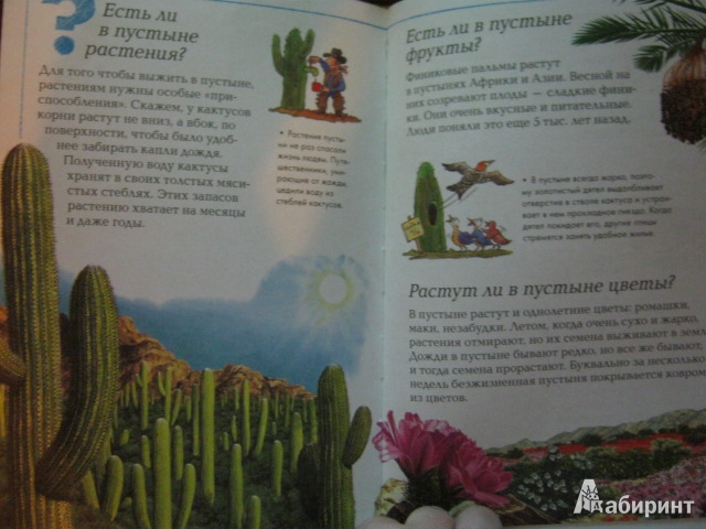 Иллюстрация 11 из 12 для Мир растений | Лабиринт - книги. Источник: Евгения39