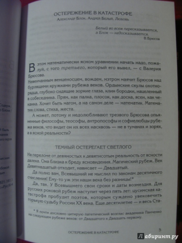 Иллюстрация 14 из 22 для Жизни гибельной пожар. И быль и небылицы о Блоке и о себе. Воспоминания о Блоке - Белый, Блок | Лабиринт - книги. Источник: manuna007