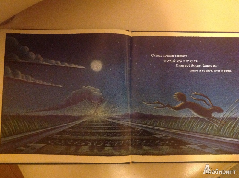 Иллюстрация 27 из 95 для Чудный поезд мчится в сон - Ринкер Даски | Лабиринт - книги. Источник: Natik-15