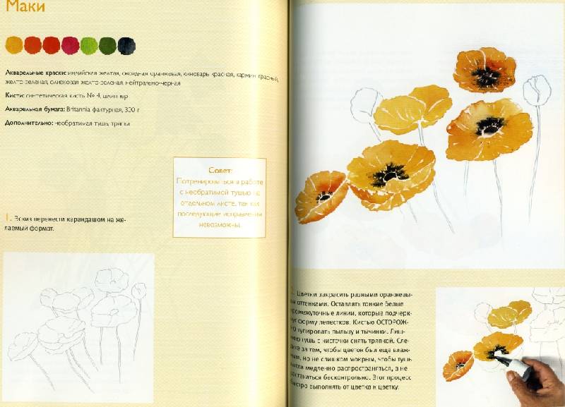 Иллюстрация 7 из 8 для Рисуем цветы (акварель) - Кирси Цюльке | Лабиринт - книги. Источник: ТТ