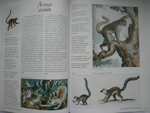 Иллюстрация 48 из 52 для Самые известные животные | Лабиринт - книги. Источник: Nadezhda_S