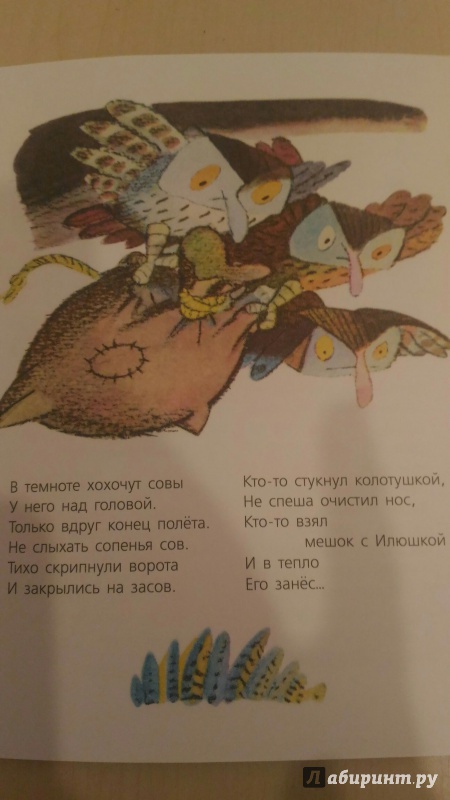 Иллюстрация 21 из 38 для Бука - Тимофей Белозеров | Лабиринт - книги. Источник: Костромина  Наталия