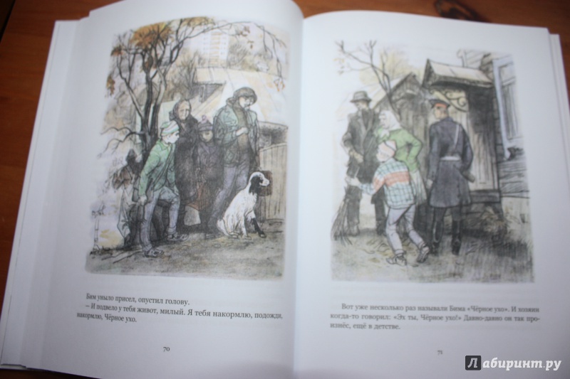 Иллюстрация 77 из 113 для Белый Бим Черное ухо - Гавриил Троепольский | Лабиринт - книги. Источник: Bradbury