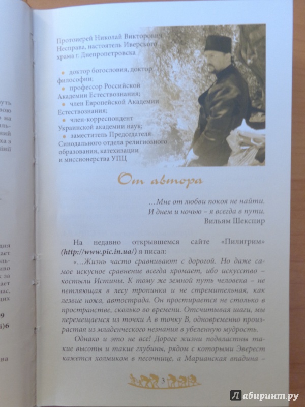 Иллюстрация 3 из 17 для Письма Пилигрима, или Мы все немного папуасы - Николай Протоиерей | Лабиринт - книги. Источник: Romanowa