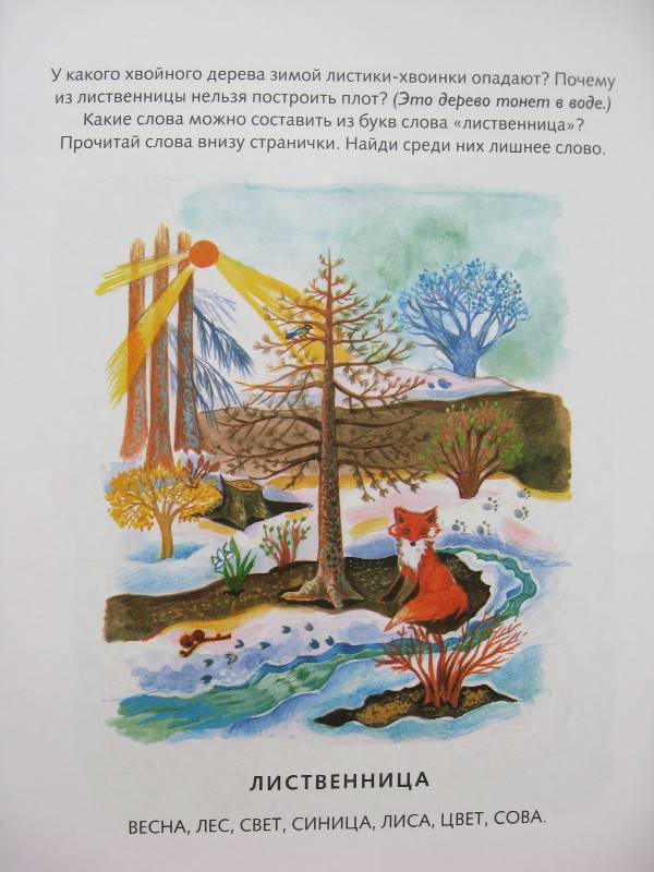 Иллюстрация 4 из 16 для Лесная полянка - Ольга Земцова | Лабиринт - книги. Источник: Ершова  Евгения