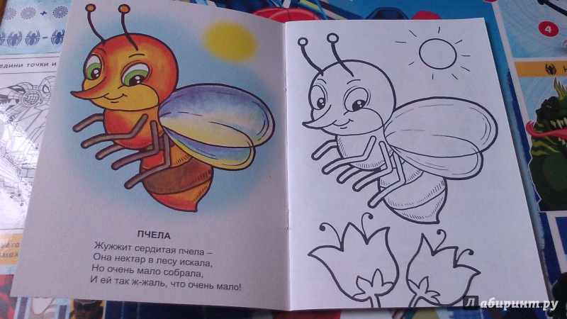 Иллюстрация 3 из 20 для Знаешь ли ты насекомых? - Наталья Томилина | Лабиринт - книги. Источник: Mila