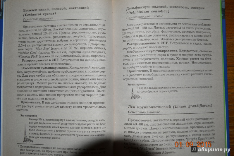 Иллюстрация 4 из 20 для Декоративные газоны - Людмила Улейская | Лабиринт - книги. Источник: Белоус Марина