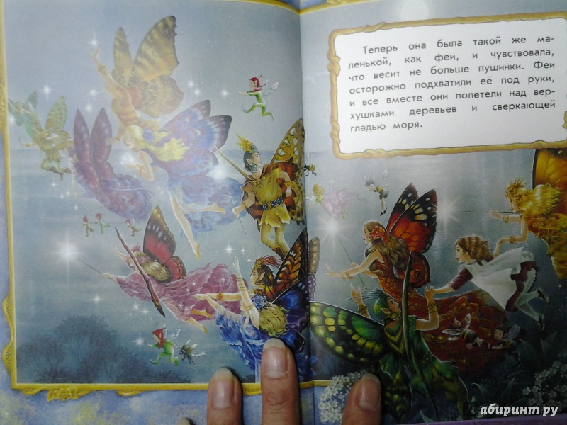 Иллюстрация 20 из 26 для Сказки заколдованного леса - Ширли Барбер | Лабиринт - книги. Источник: Olga
