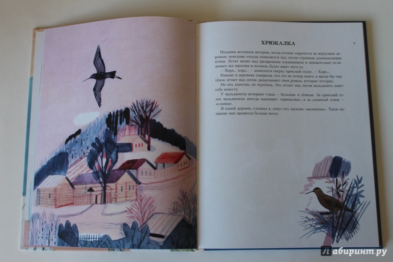 Иллюстрация 24 из 33 для Воробьиное озеро - Юрий Коваль | Лабиринт - книги. Источник: По страницам детских книг