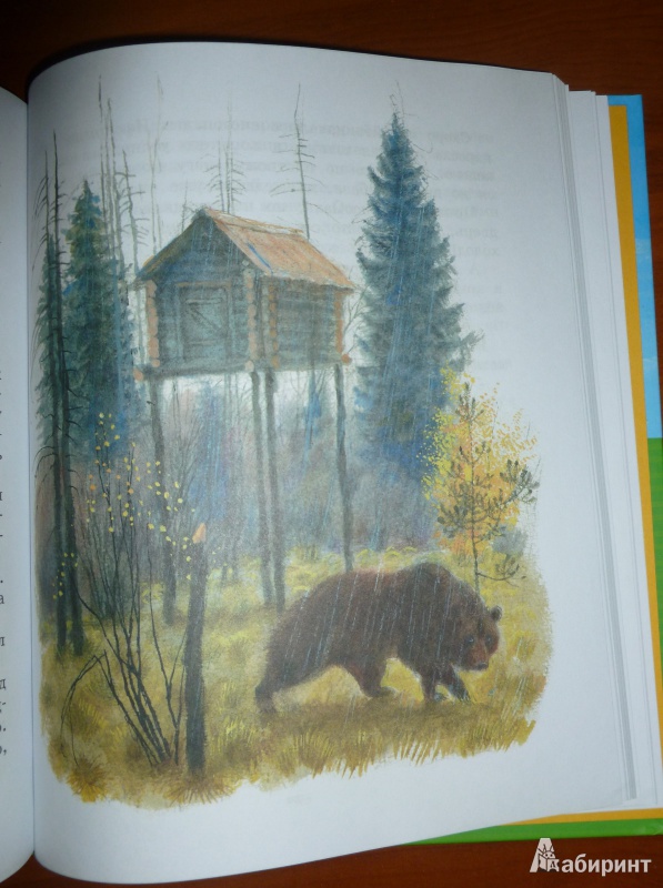 Иллюстрация 40 из 59 для Картофельная собака - Юрий Коваль | Лабиринт - книги. Источник: дева