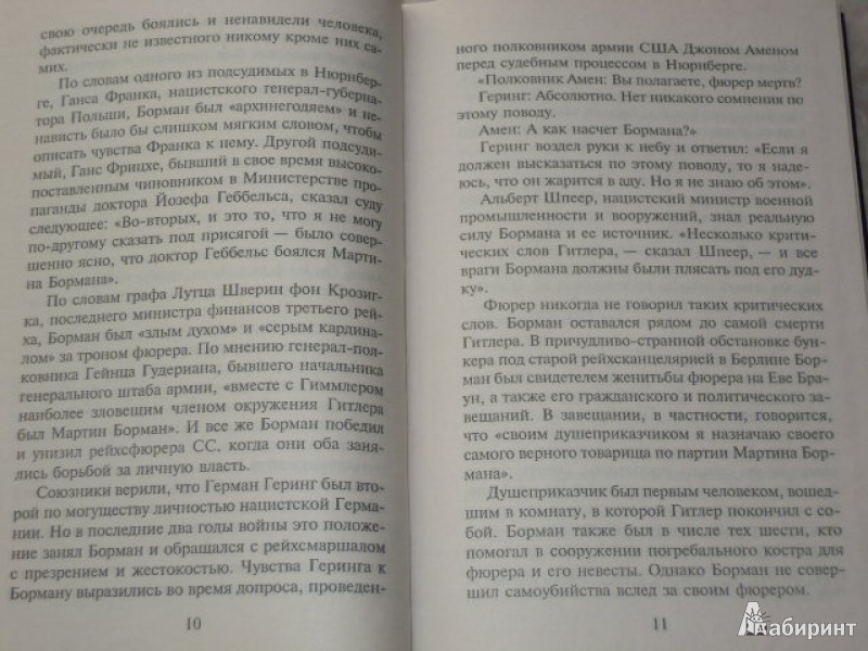 Иллюстрация 6 из 9 для Мартин Борман. Серый кардинал в коричневой униформе - Джеймс Макговерн | Лабиринт - книги. Источник: Iwolga