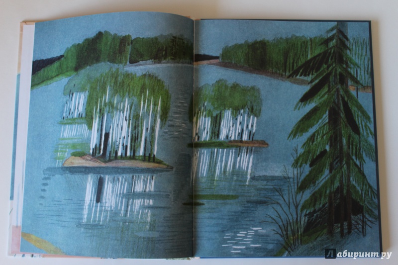 Иллюстрация 23 из 33 для Воробьиное озеро - Юрий Коваль | Лабиринт - книги. Источник: По страницам детских книг