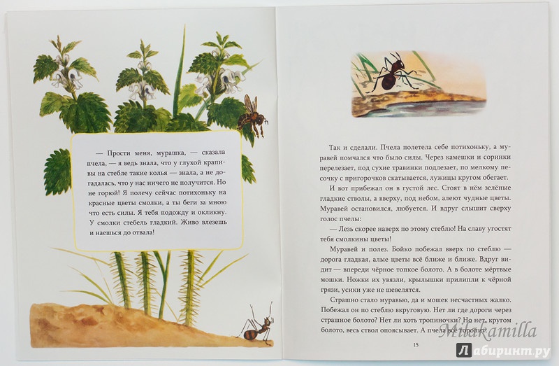 Иллюстрация 37 из 41 для Мышонок заблудился - Нина Павлова | Лабиринт - книги. Источник: Букландия